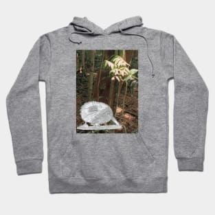 Kiwi Bird in the Forest Hoodie